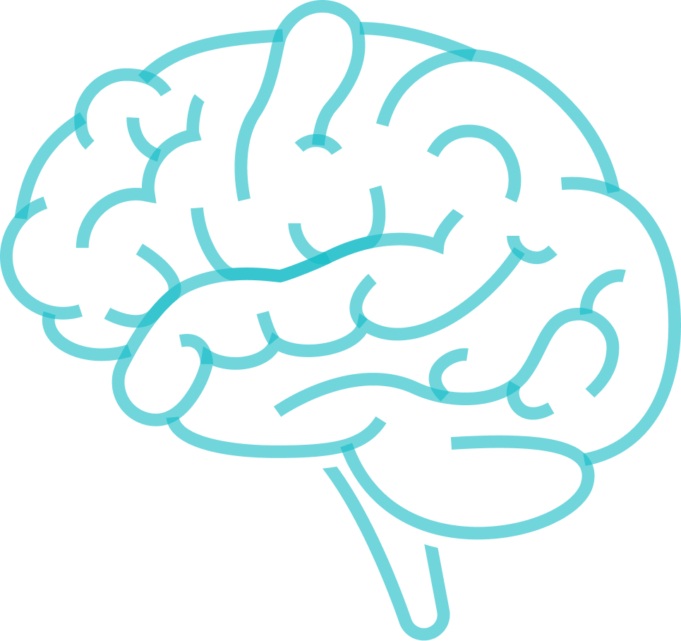 Brain Outline Icon